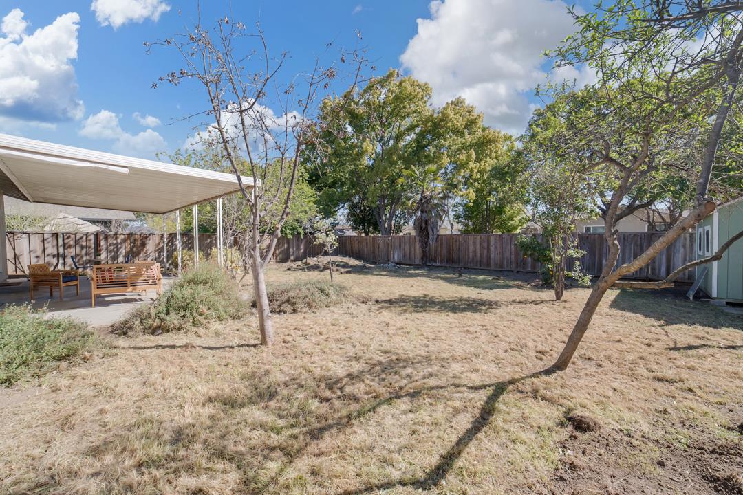 835 Fillippelli Drive Gilroy, CA 95020 - Photo 34 of 45 a view of a yard with a tree