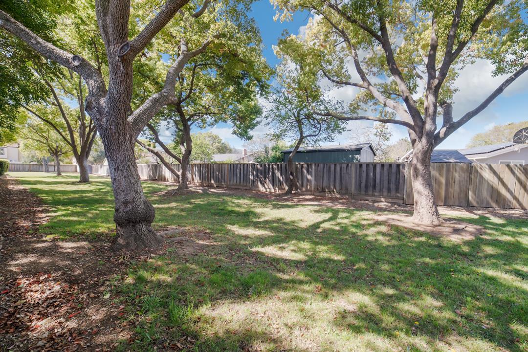 835 Fillippelli Drive Gilroy, CA 95020 - Photo 41 of 45 a view of a yard with large tree and wooden fence