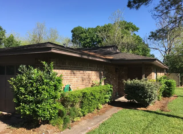 view of a backyard with plants