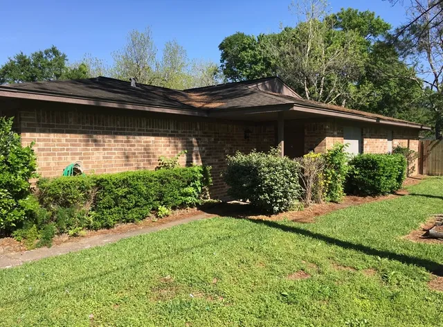 a view of a yard with potted plants