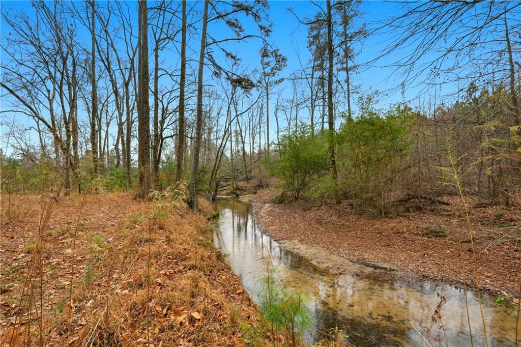 1188 Carl-Bethlehem Road Winder, GA 30680 - Photo 22 of 23 a view of a yard
