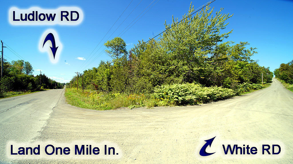 Lot 48 White Road Houlton, ME 04730 - Photo 8 of 27 white-rd-clark-1