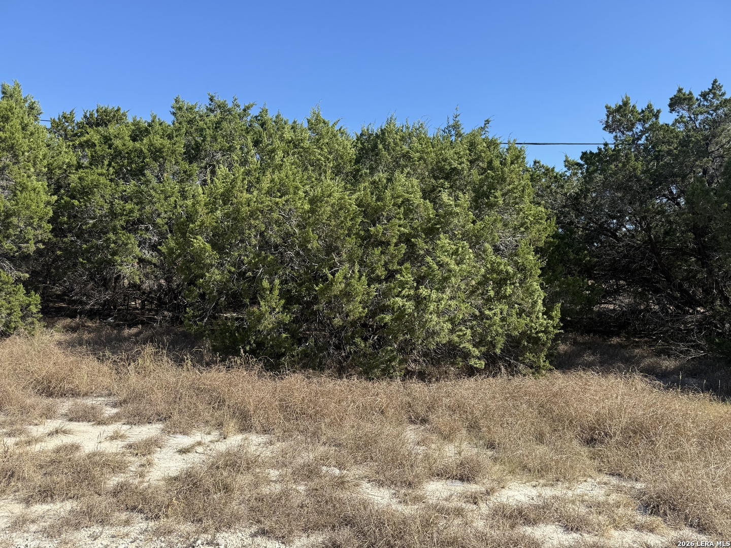 1503 Lake Drive Spring Branch, TX 78070 - Photo 4 of 5 a view of a yard
