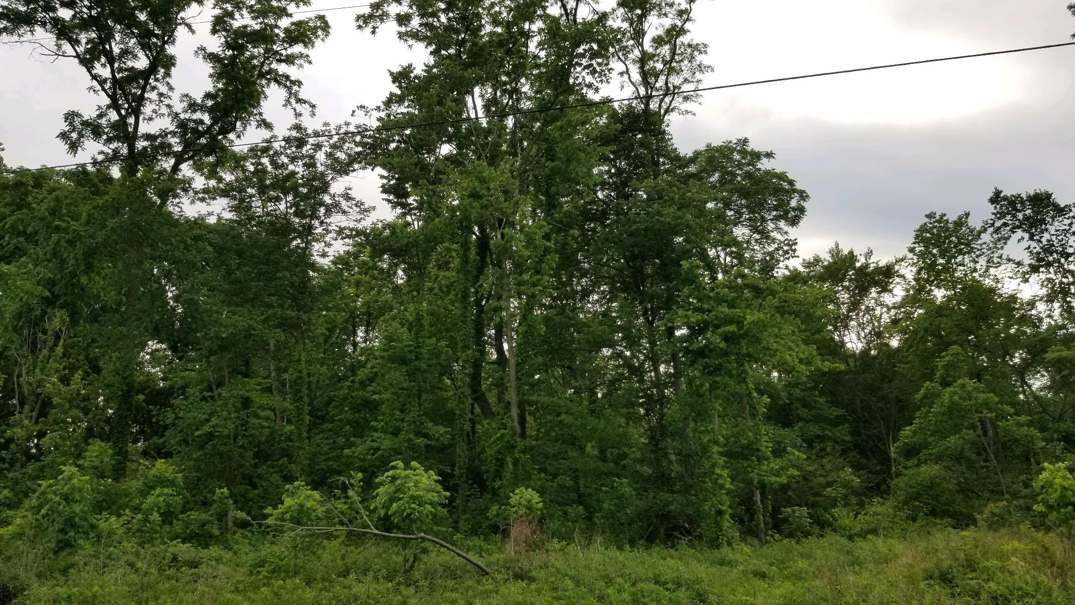 0 Willow Dale Road Springfield, OH 45502 - Photo 19 of 21