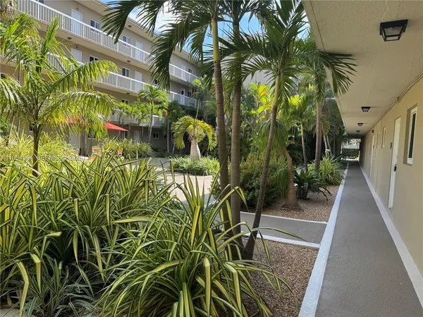 a view of backyard with garden