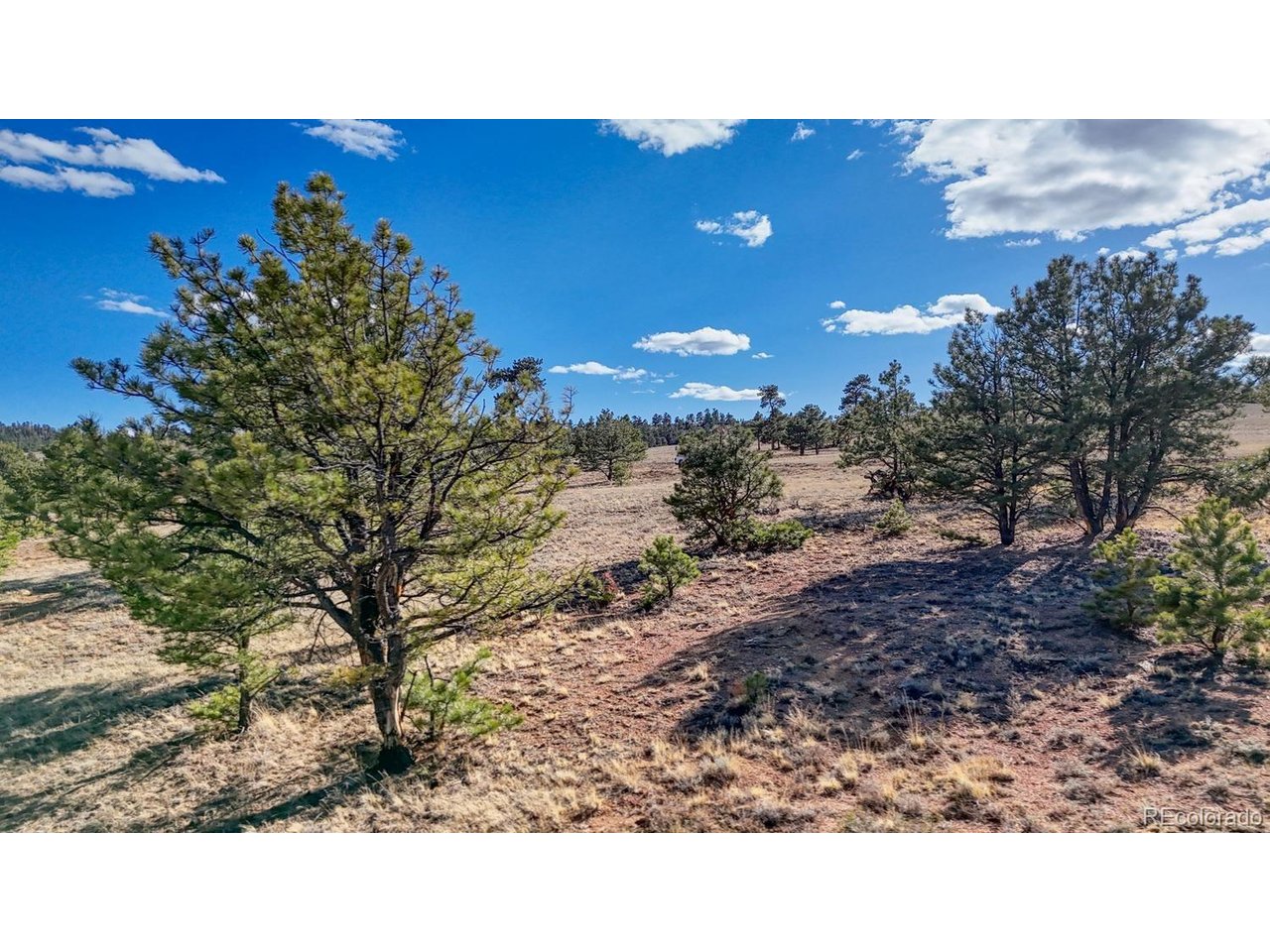 5103 Anasazi Road Hartsel, CO 80449 - Photo 5 of 21 Gallery Image 5