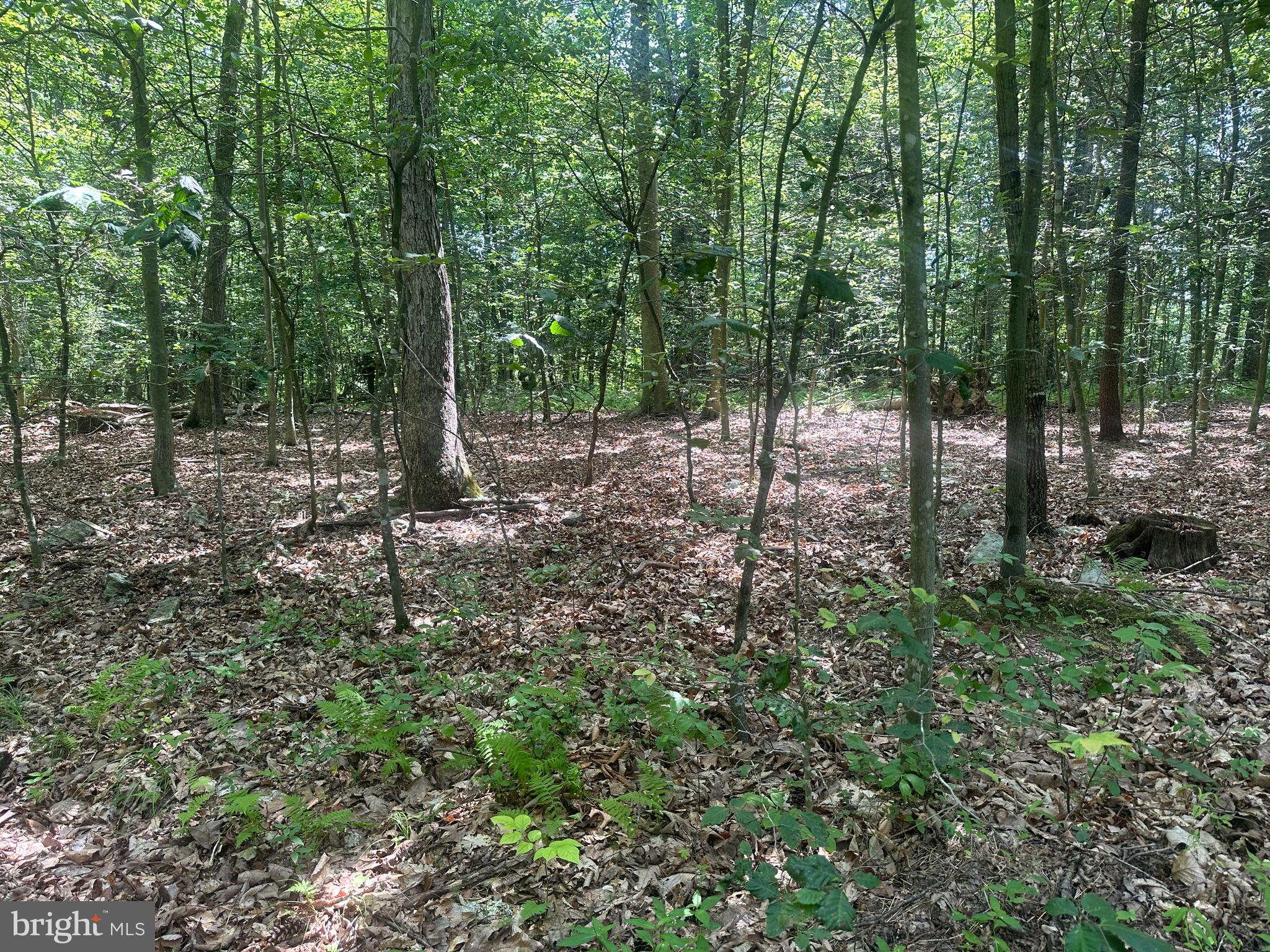 14118 Indian Springs Road Big Pool, MD 21711 - Photo 19 of 30
