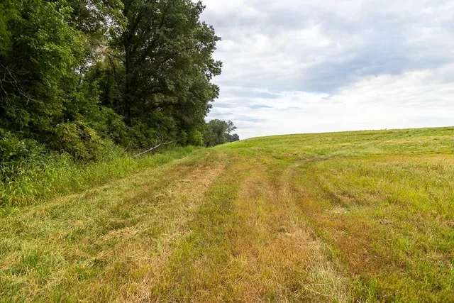 $247,500 | 29.09-acres Southeast 29.09-acres Se 1151st Road, Windsor, MO 65360