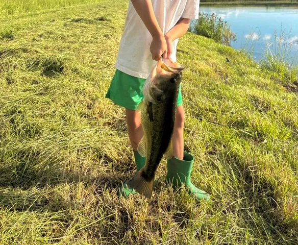 $247,500 | 29.09-acres Southeast 29.09-acres Se 1151st Road, Windsor, MO 65360