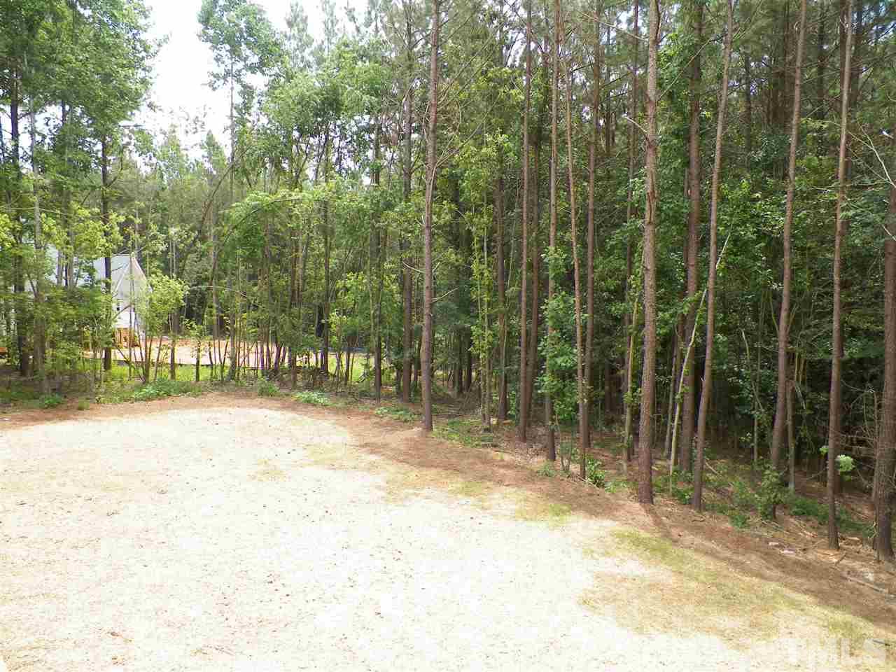 6128 Spring Branch Circle Raleigh, NC 27603 - Photo 25 of 25 a view of outdoor space with trees