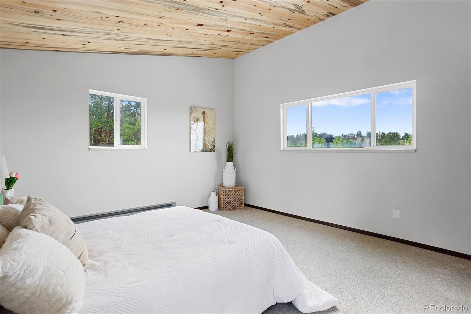 616 South Pine Drive Bailey, CO 80421 - Photo 27 of 50 a bedroom with a bed and a window