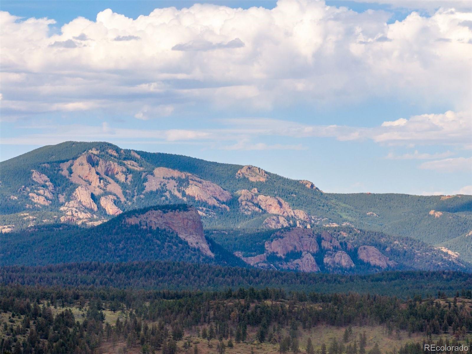 616 South Pine Drive Bailey, CO 80421 - Photo 3 of 50 a view of a sky from a yard
