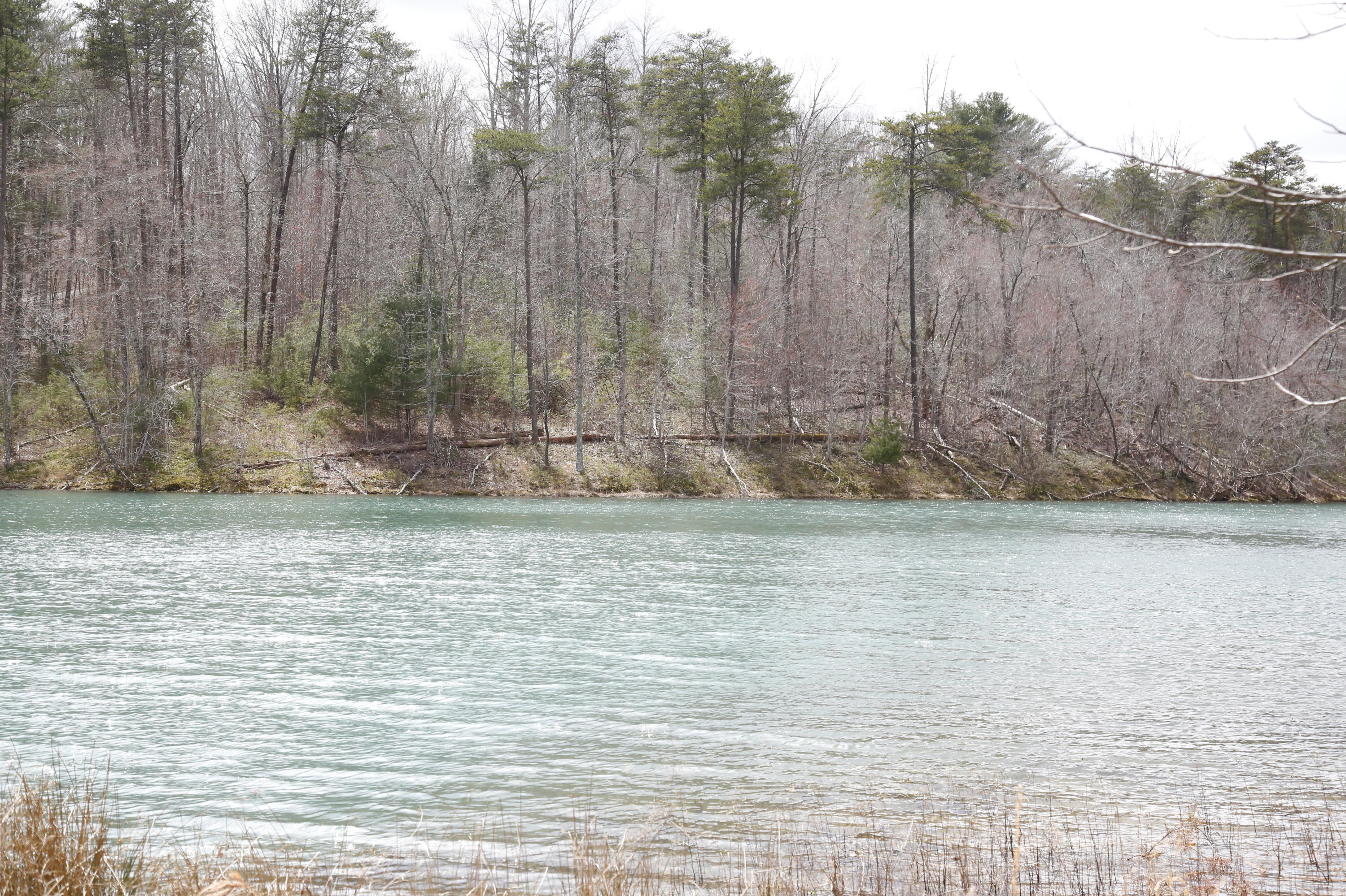 9 Timberlake Development Spring City, TN 37381 - Photo 5 of 10 _62A5721