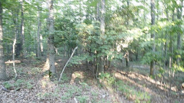 9 Timberlake Development Spring City, TN 37381 - Photo 6 of 10 _62A4363