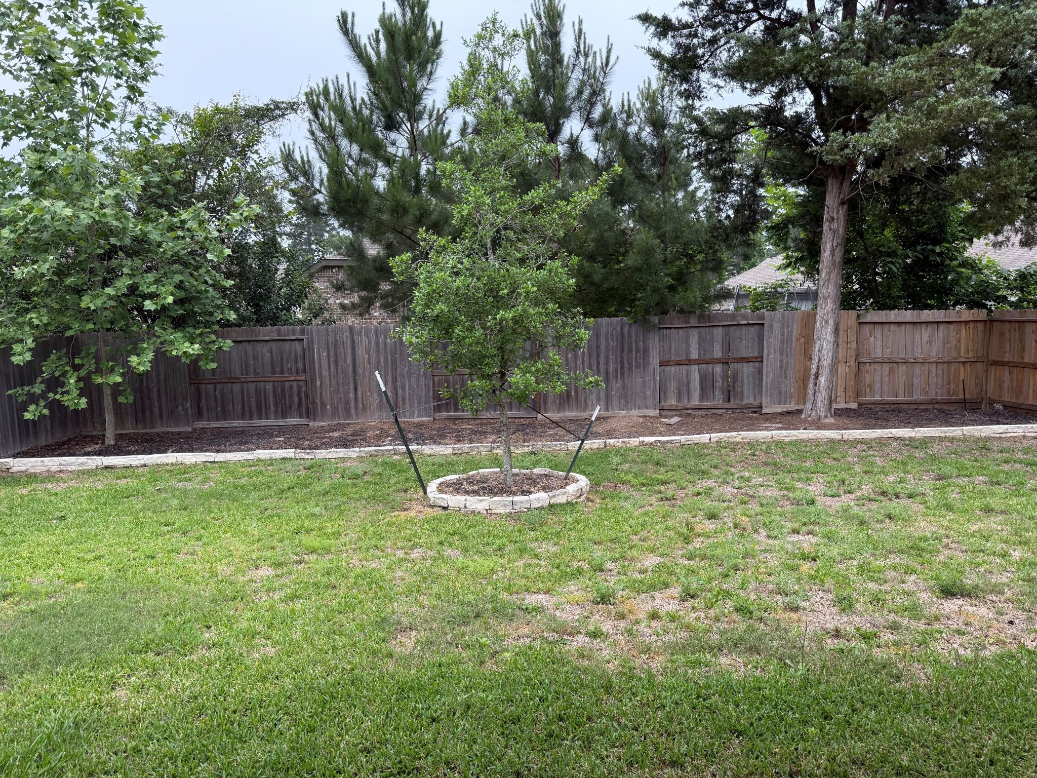 240 Scarlet Maple Way Conroe, TX 77318 - Photo 14 of 14