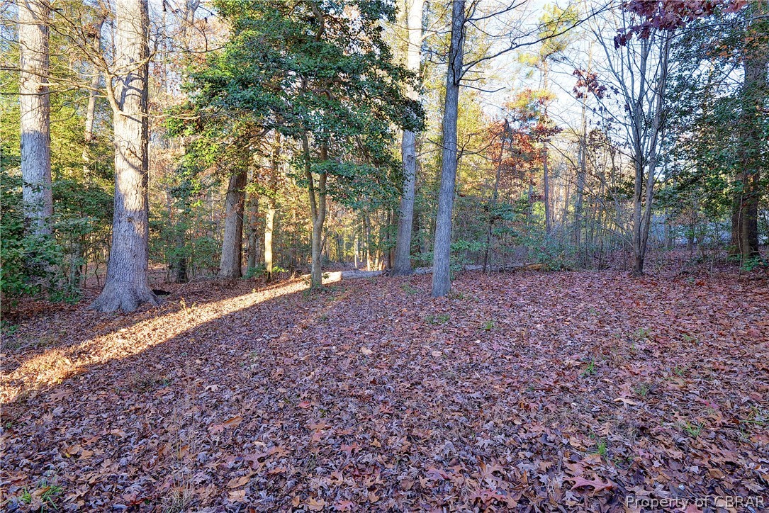 835 Vail Ridge Williamsburg, VA 23188 - Photo 28 of 44 Gallery Image 28