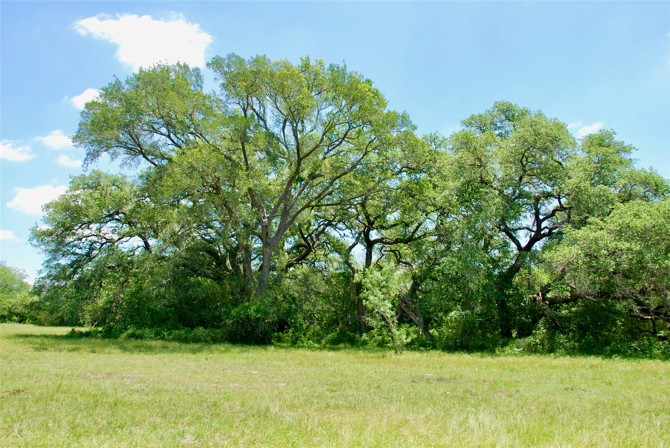 2170 Langdon Road Weimar, TX 78962 - Photo 7 of 31