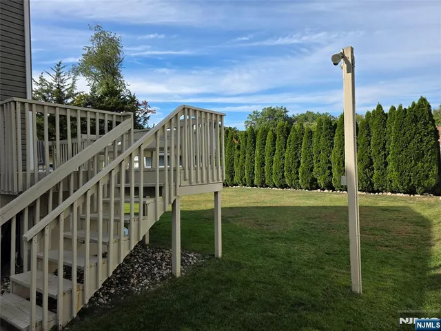 a view of a garden with a palm tree