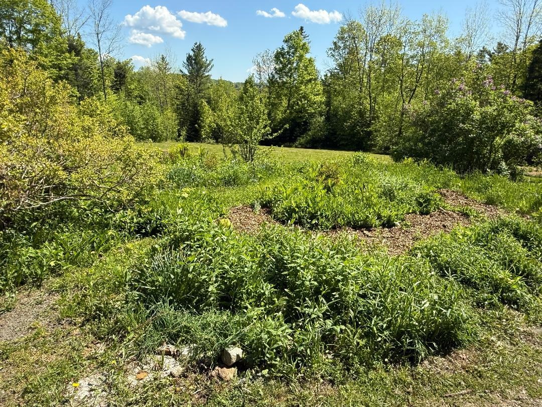590 Blodgett Road Cabot, VT 05658 - Photo 23 of 59