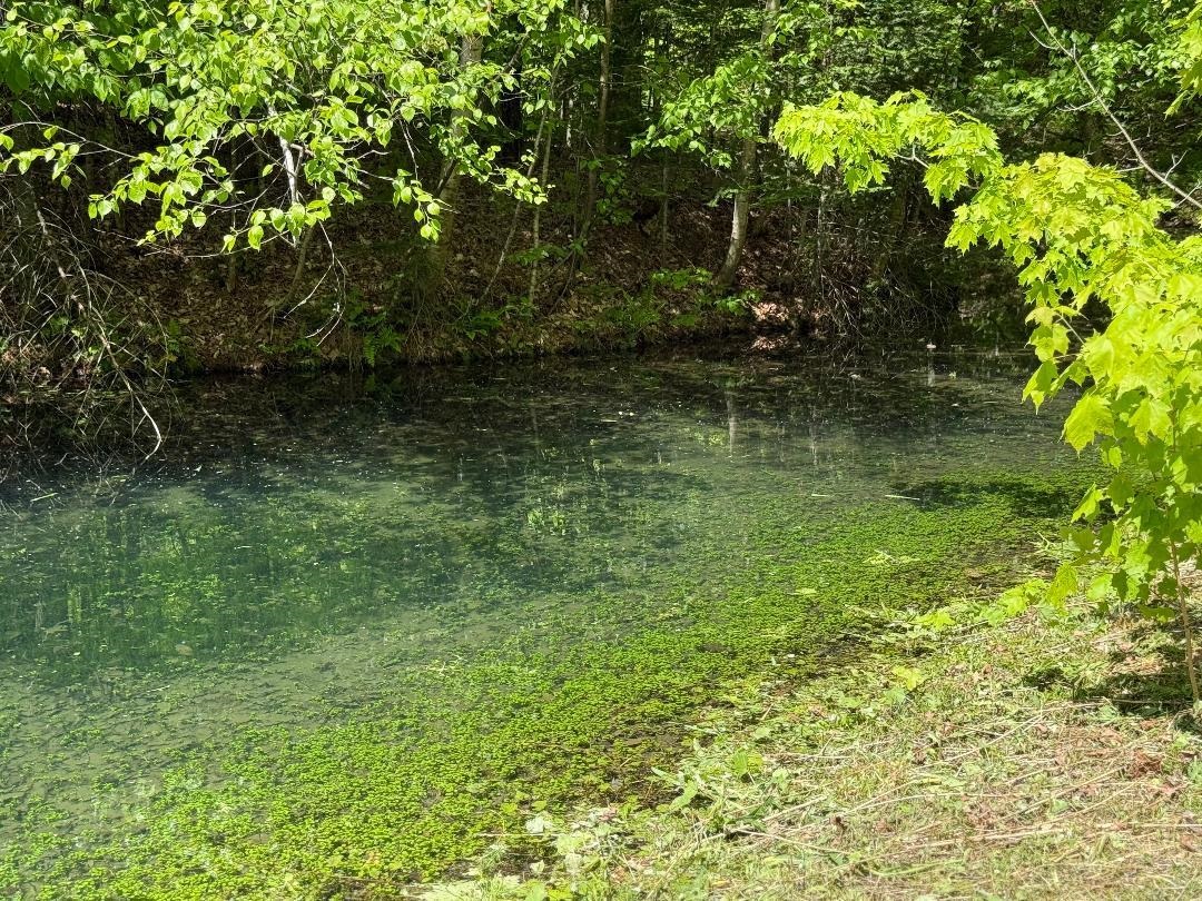 590 Blodgett Road Cabot, VT 05658 - Photo 26 of 59