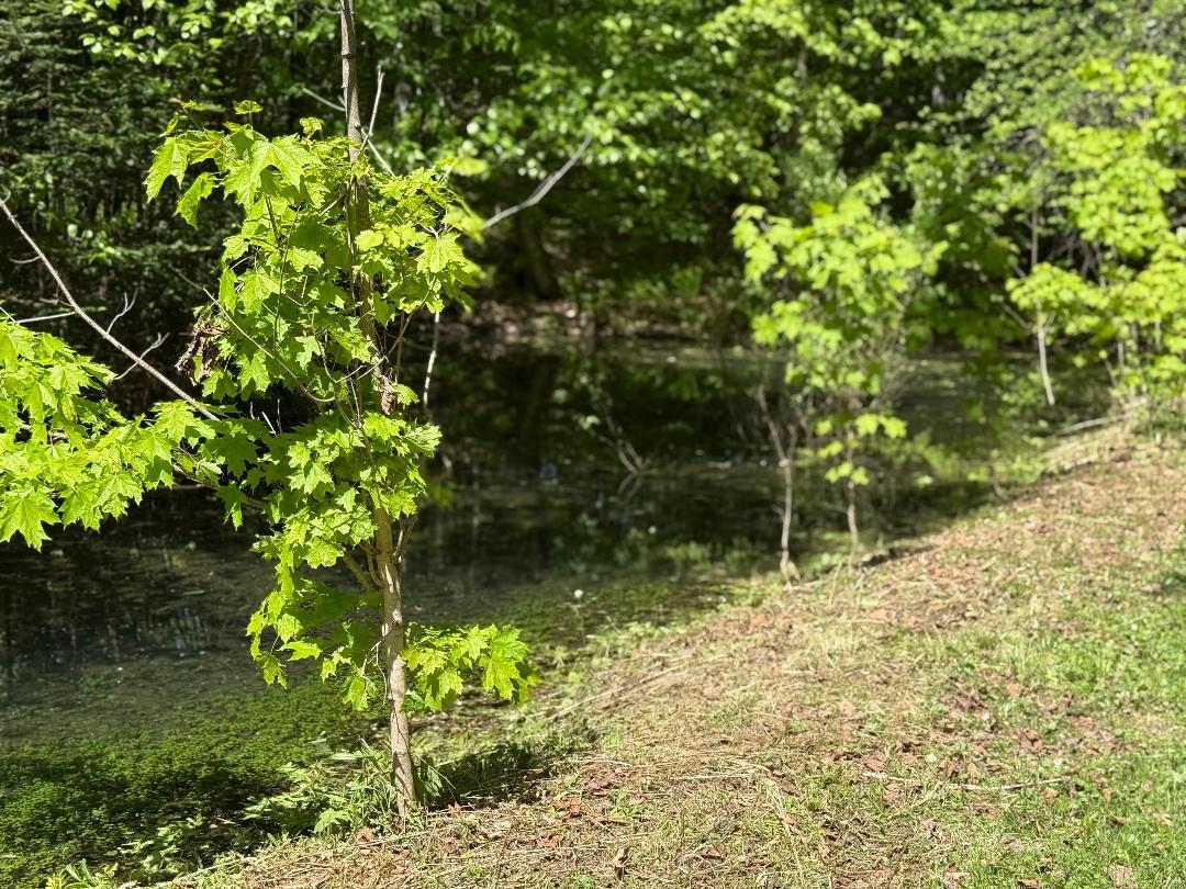 590 Blodgett Road Cabot, VT 05658 - Photo 28 of 59