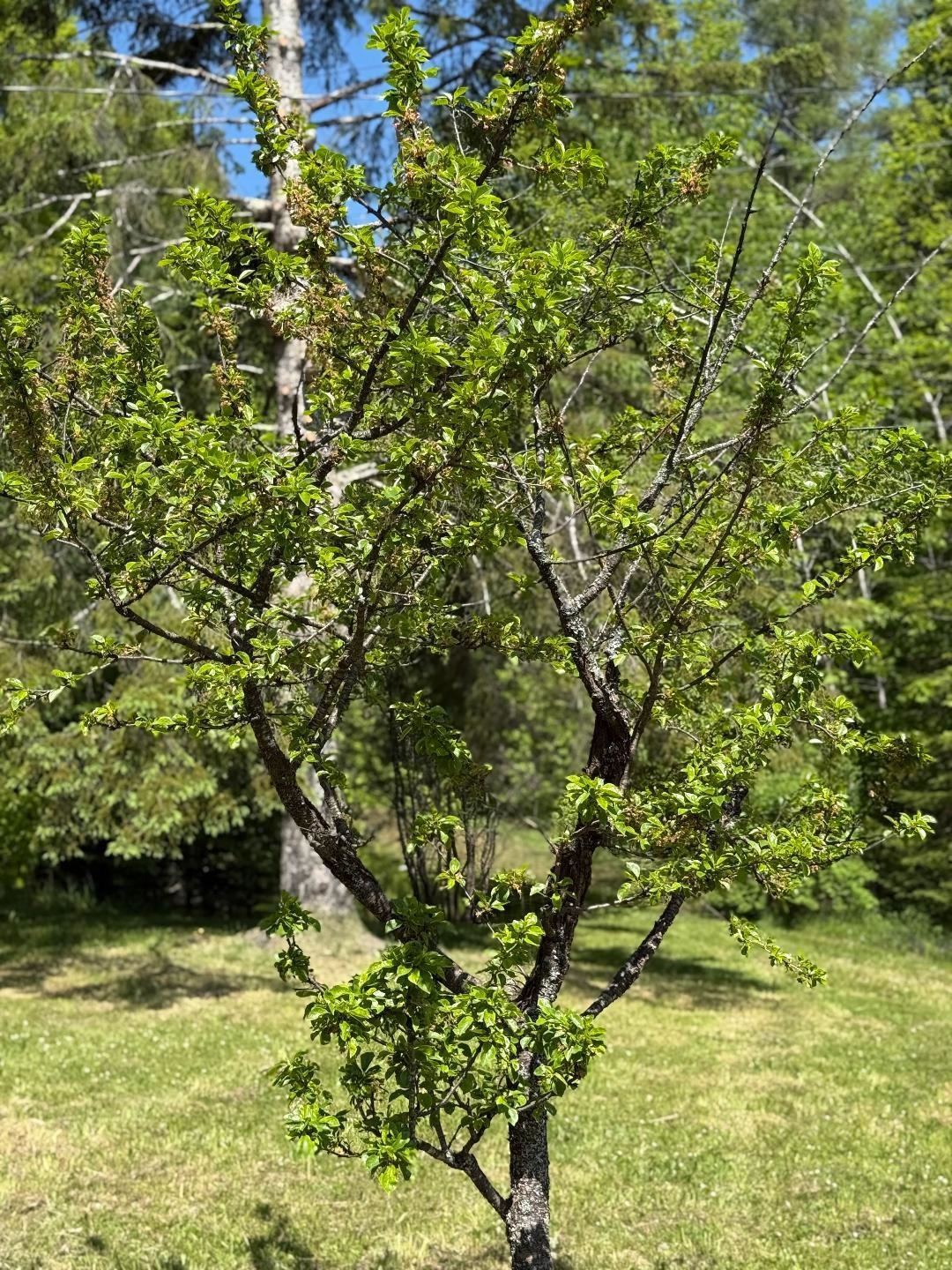 590 Blodgett Road Cabot, VT 05658 - Photo 29 of 59