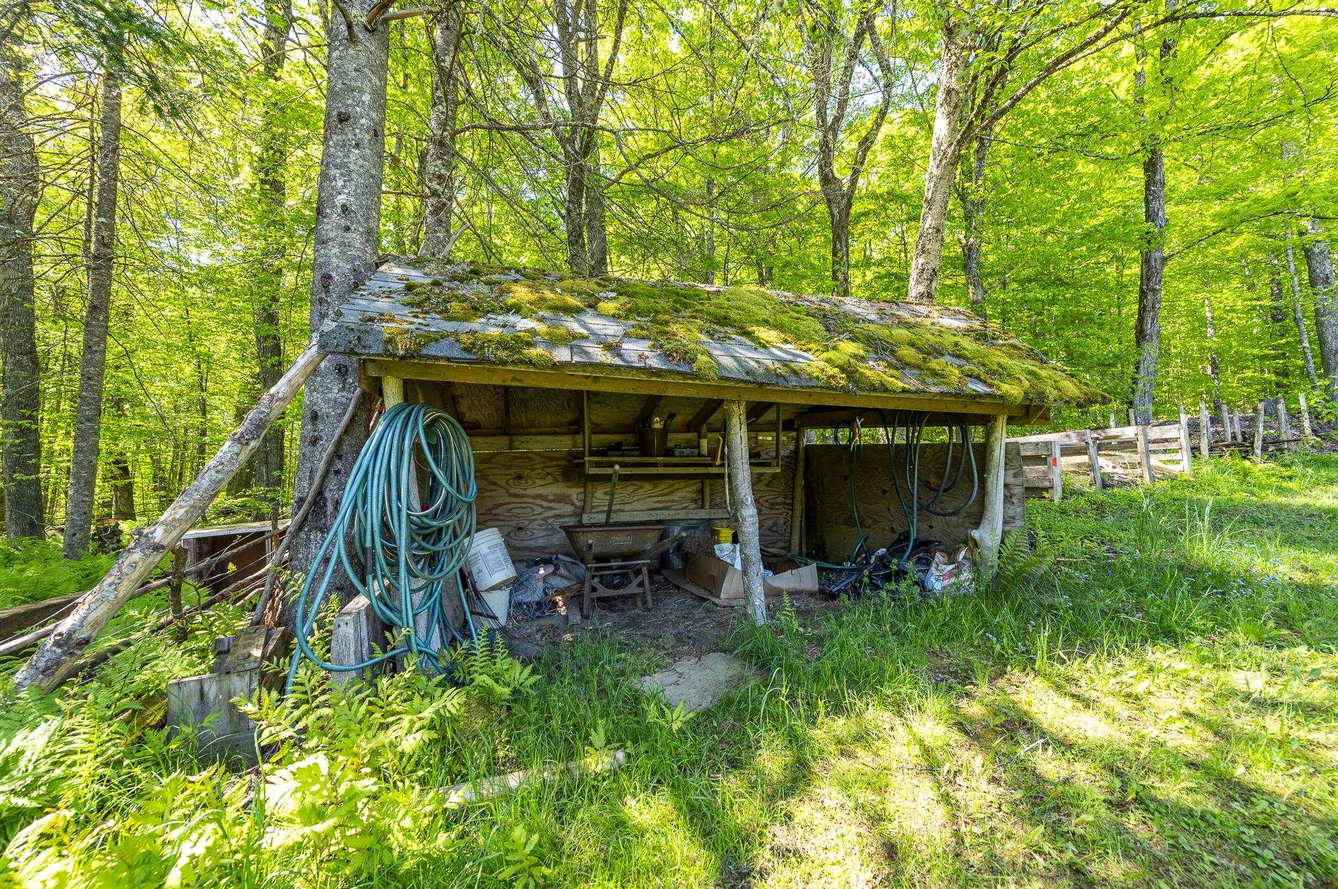 590 Blodgett Road Cabot, VT 05658 - Photo 32 of 59