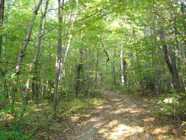 223 Tower Road Cobleskill, NY 12043 - Photo 4 of 12 Photo 4