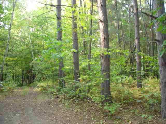 223 Tower Road Cobleskill, NY 12043 - Photo 7 of 12 Photo 7