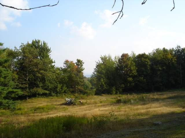 223 Tower Road Cobleskill, NY 12043 - Photo 10 of 12 Photo 10