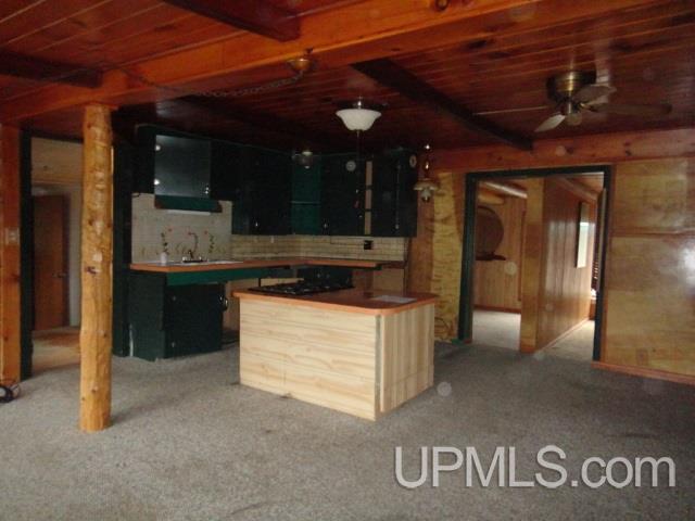 115 Sheltrow Road Crystal Falls, MI 49920 - Photo 6 of 28 Gallery Image 6