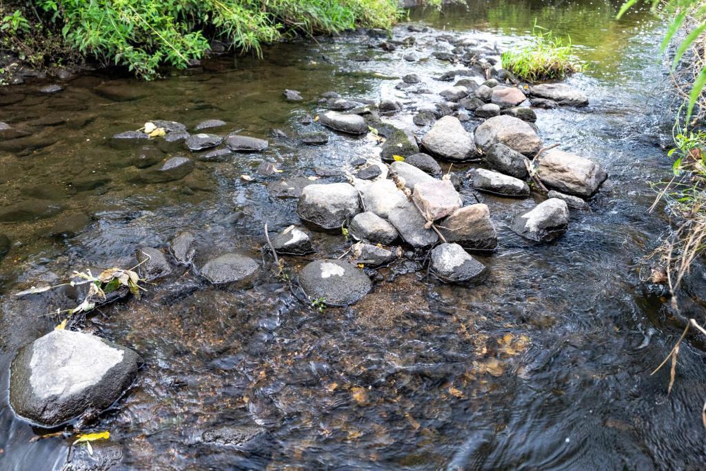 5224 West 70th Street Edina, MN 55439 - Photo 28 of 35