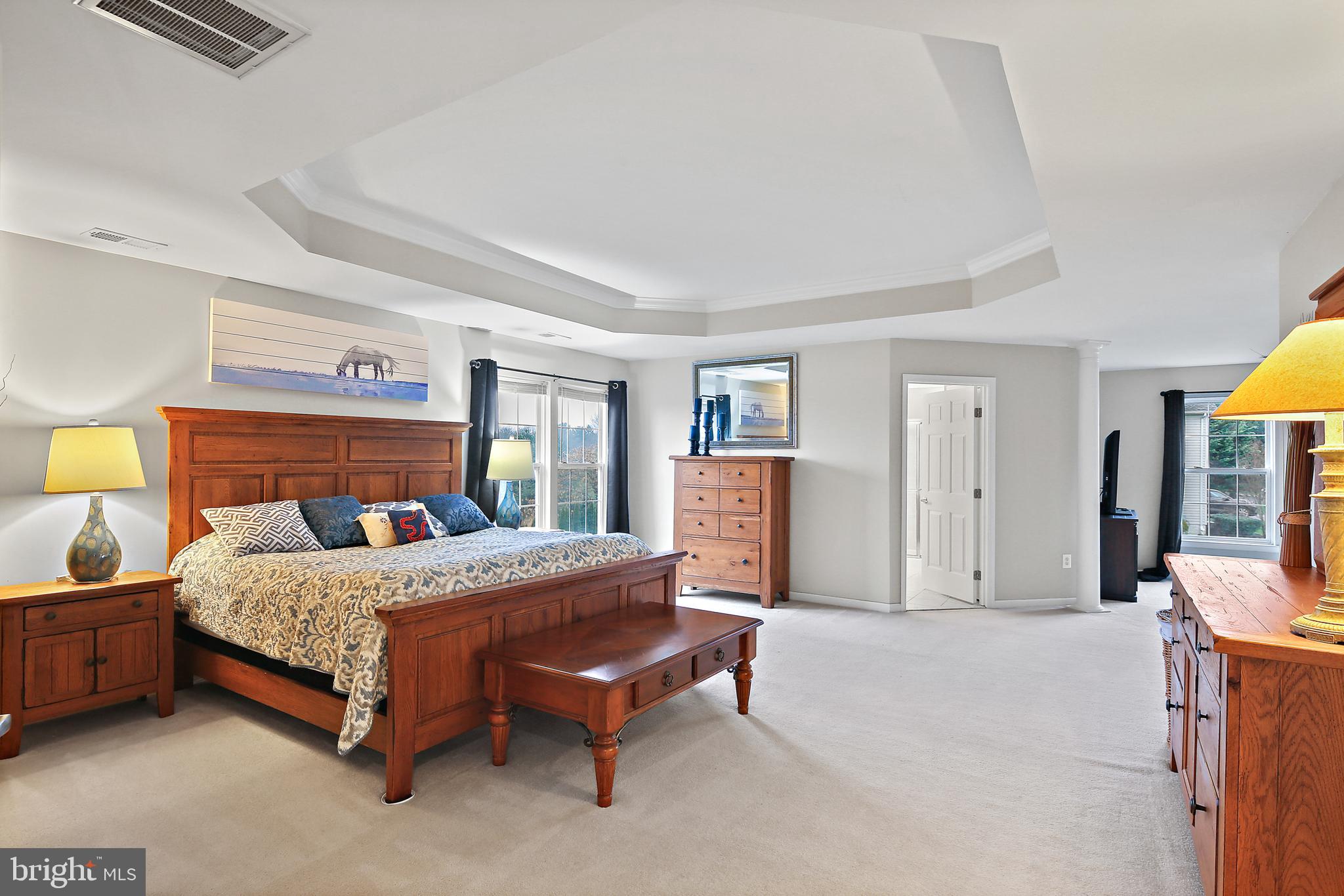 413 Ronsdale Road Sykesville, MD 21784 - Photo 16 of 46 Primary Bedroom Suite with tray ceiling