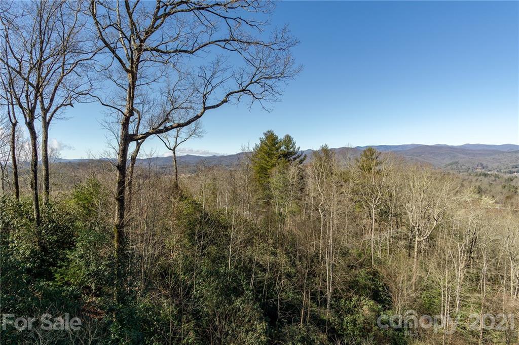 57 Oakridge Road Pisgah Forest, NC 28768 - Photo 26 of 44 Gallery Image 26