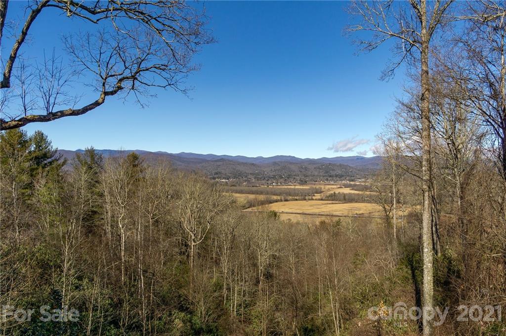 57 Oakridge Road Pisgah Forest, NC 28768 - Photo 4 of 44 Gallery Image 4