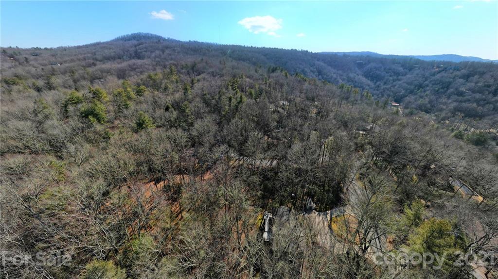 57 Oakridge Road Pisgah Forest, NC 28768 - Photo 42 of 44 Gallery Image 42