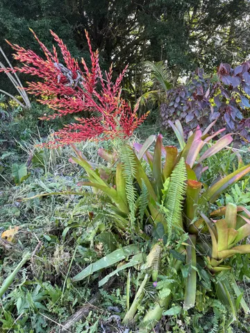 $219,998 | 16-2100 Tradewind Drive, Pahoa, HI 96778