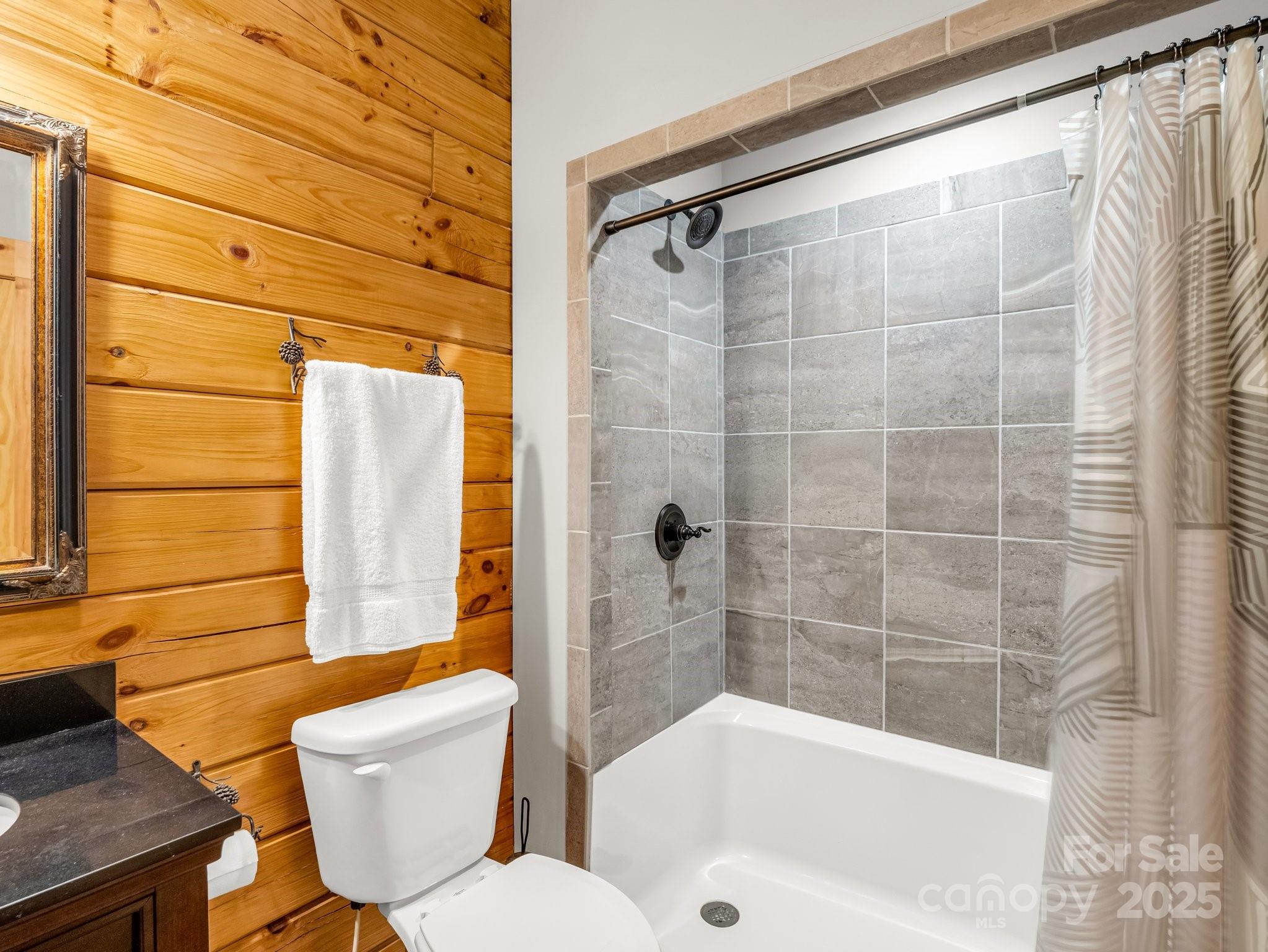 287 Matho Trace Lake Lure, NC 28746 - Photo 19 of 48