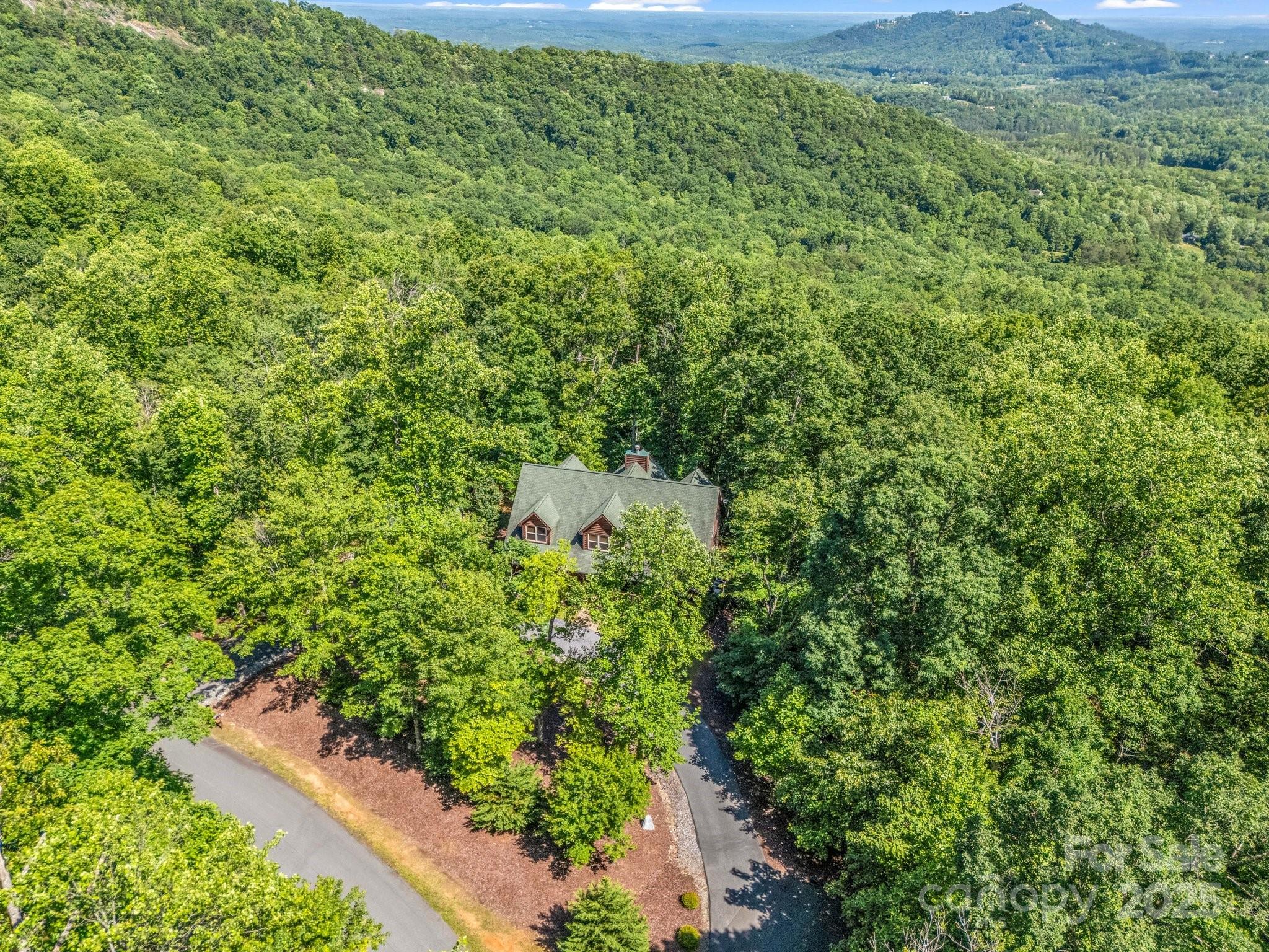 287 Matho Trace Lake Lure, NC 28746 - Photo 47 of 48