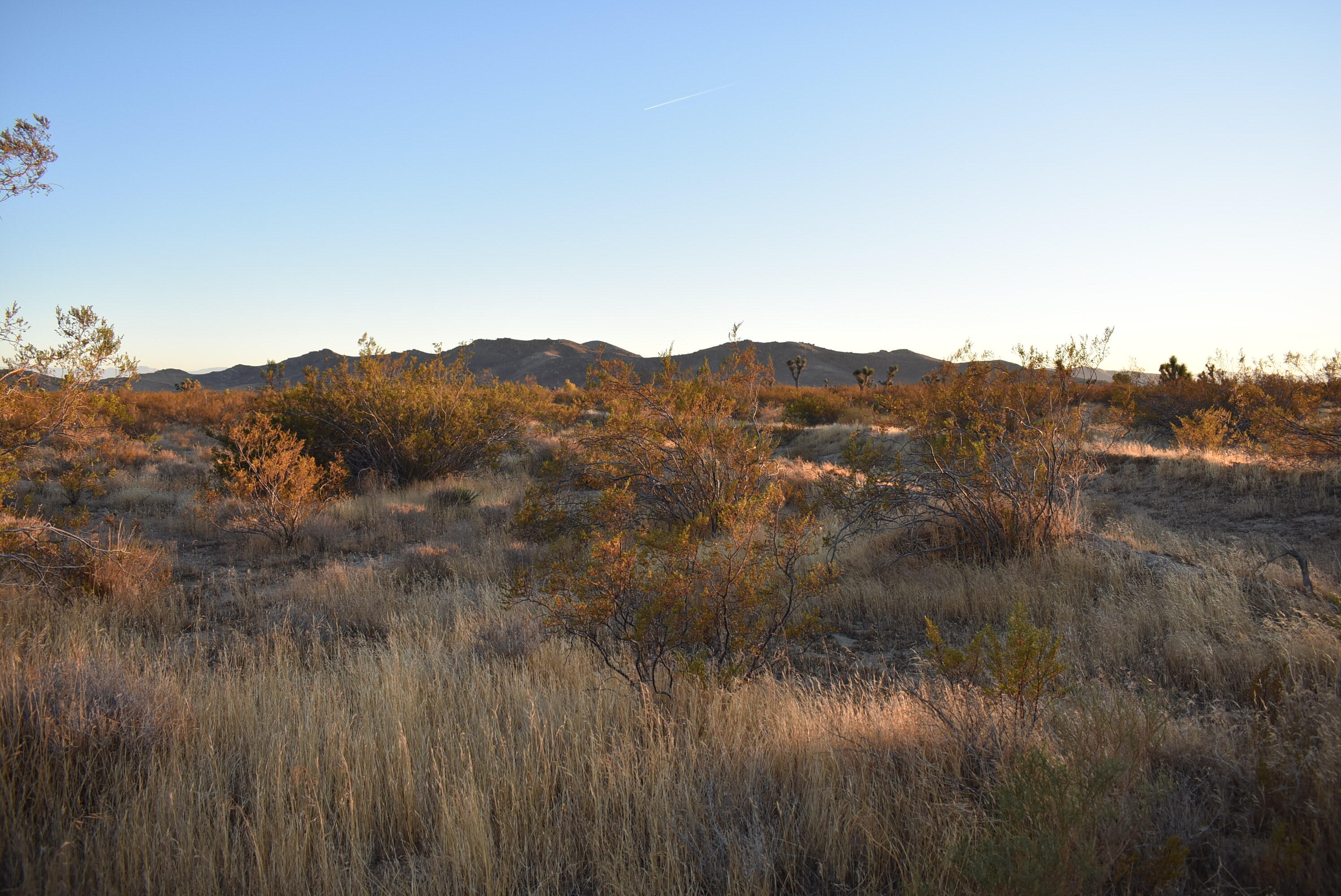60th Street West Rosamond, CA 93560 - Photo 15 of 25 a view of a mountain in the distance in a field