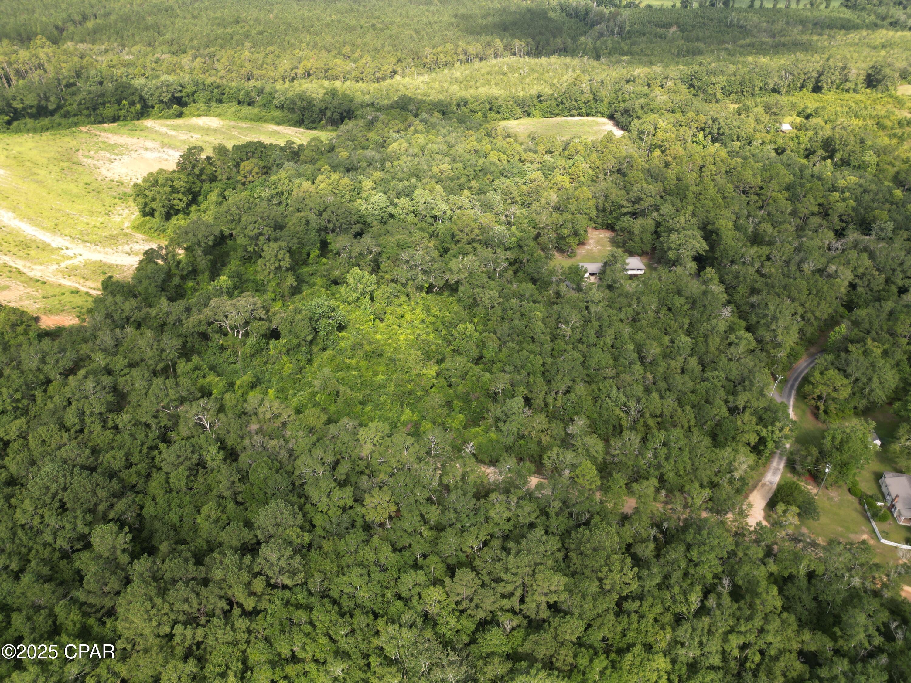 0 North Holmes Creek Road Graceville, FL 32440 - Photo 3 of 16