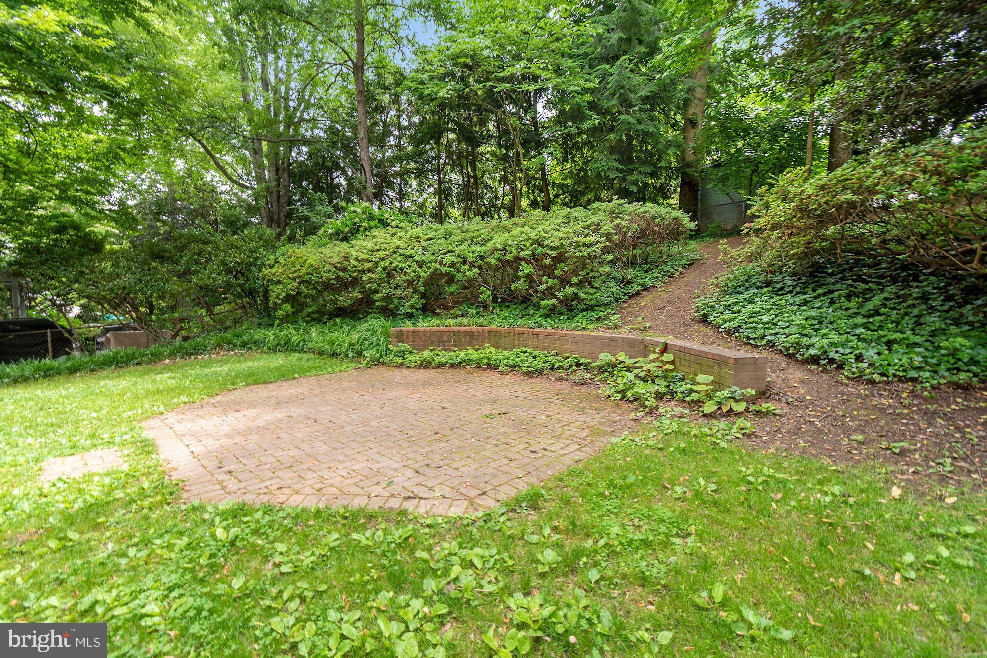 7215 Rollingwood Drive Chevy Chase, MD 20815 - Photo 38 of 42 a view of a yard with a tree