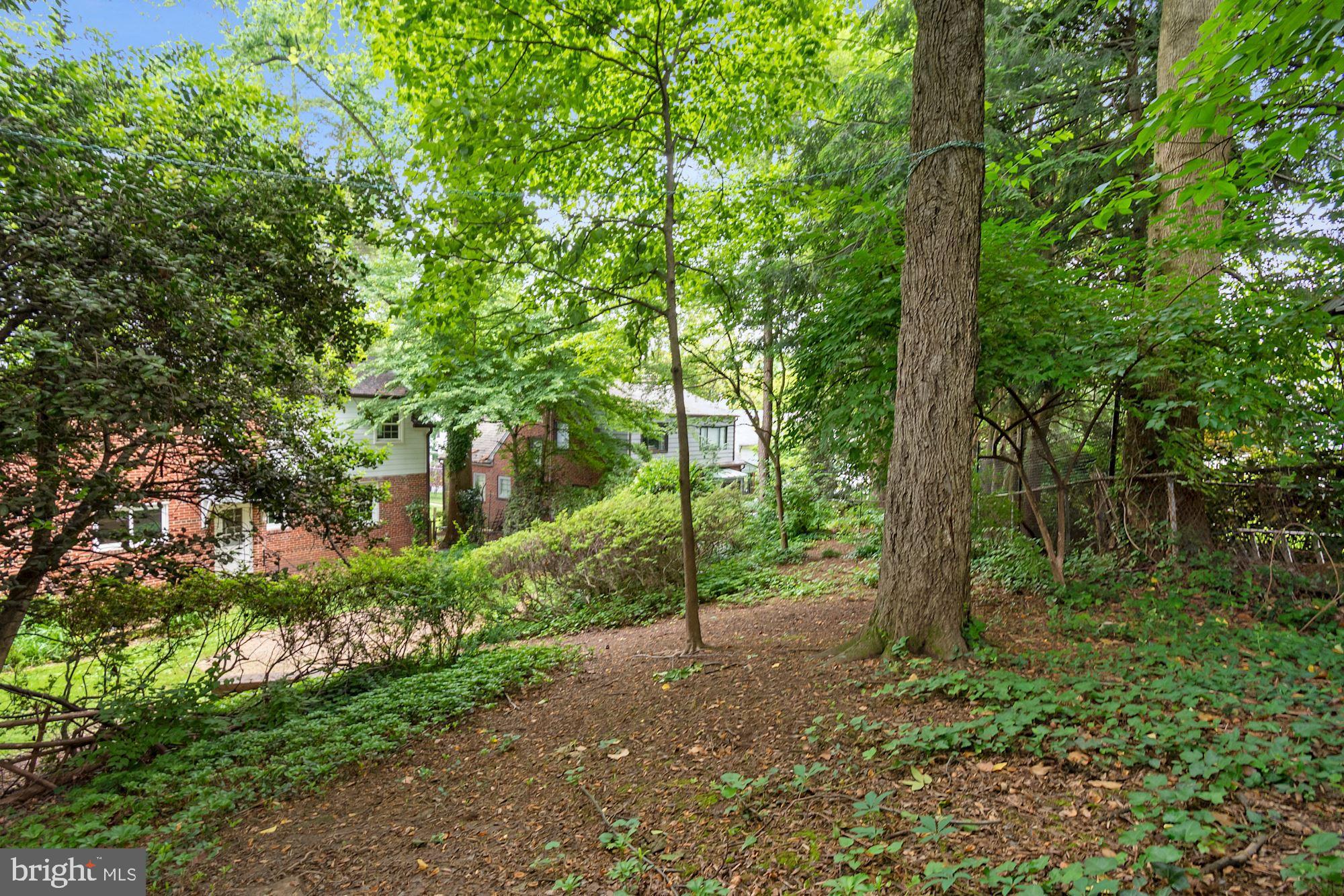 7215 Rollingwood Drive Chevy Chase, MD 20815 - Photo 42 of 42 a view of a trees in a yard