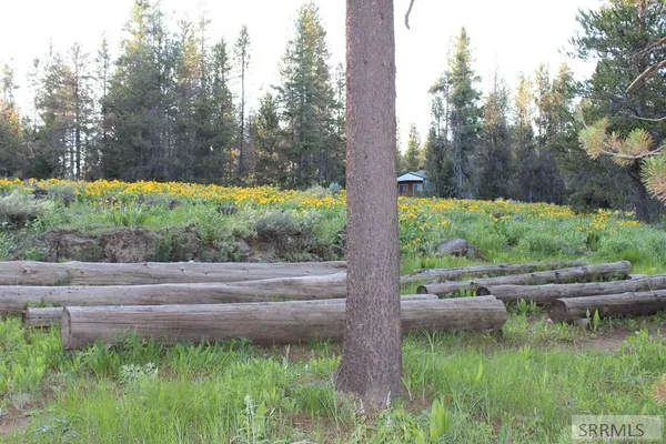 $89,000 | 3511 Buffalo Lane, Island Park, ID 83429