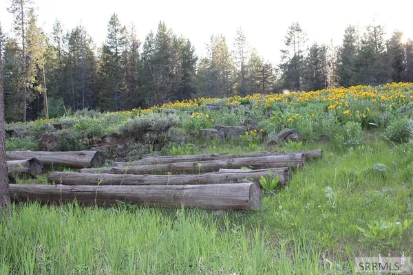 $89,000 | 3511 Buffalo Lane, Island Park, ID 83429