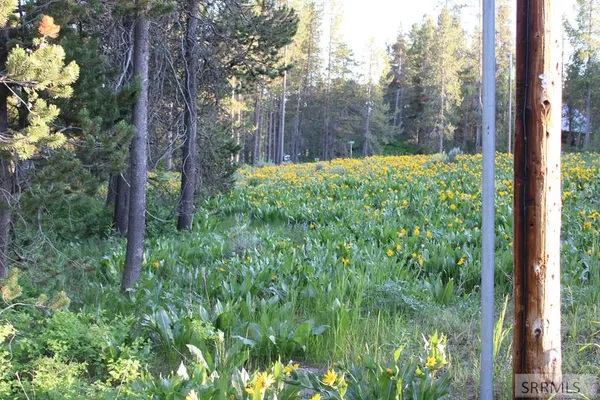 $89,000 | 3511 Buffalo Lane, Island Park, ID 83429