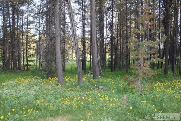 $89,000 | 3511 Buffalo Lane, Island Park, ID 83429