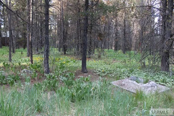 $89,000 | 3511 Buffalo Lane, Island Park, ID 83429