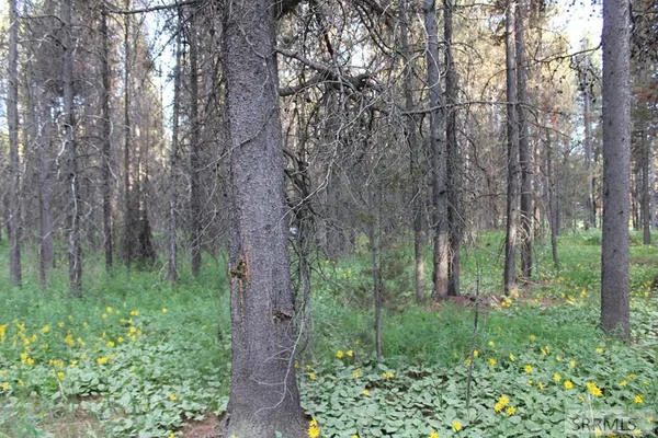 $89,000 | 3511 Buffalo Lane, Island Park, ID 83429