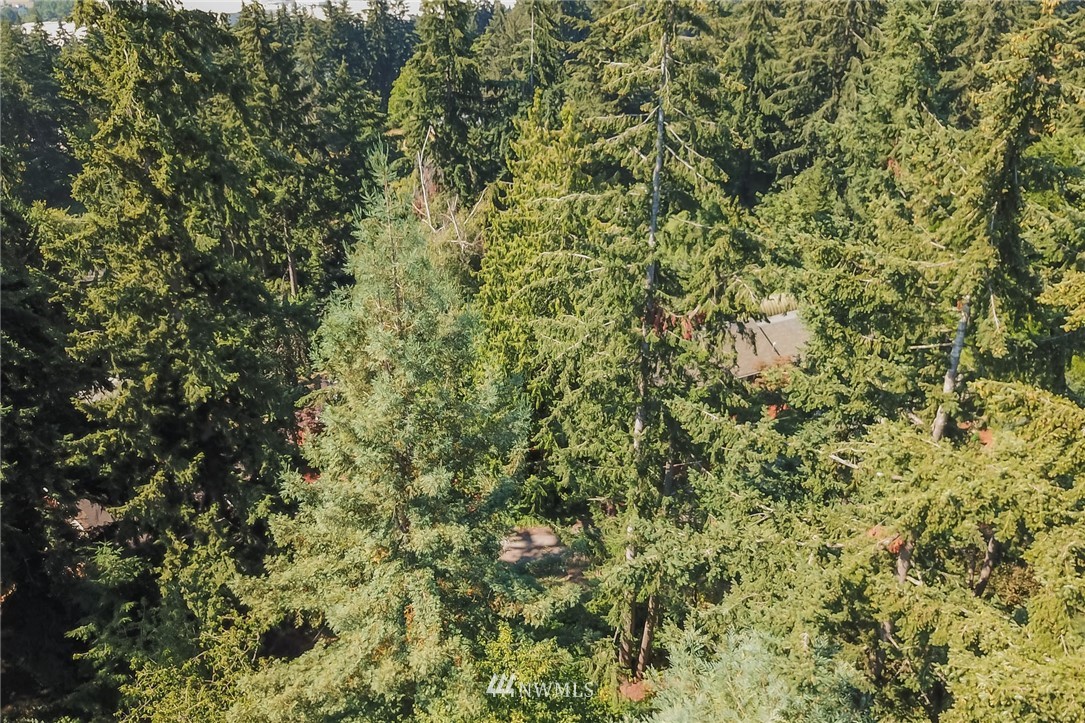 4327 Chrisella Road East Edgewood, WA 98372 - Photo 11 of 15 Gallery Image 11